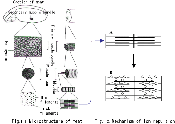 Meats and mechanism of ion repulsing